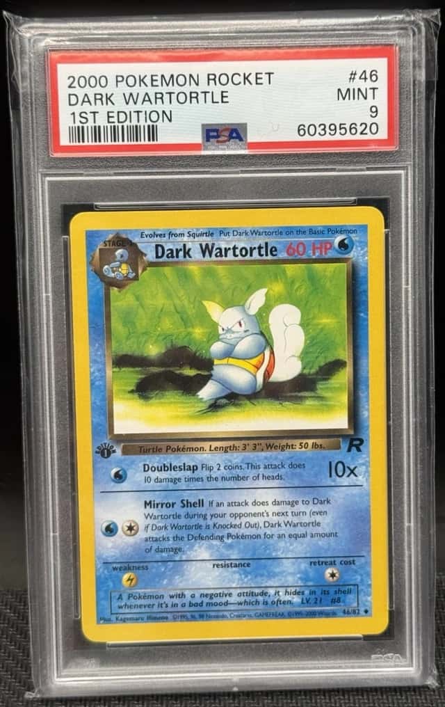 Dark Wartortle