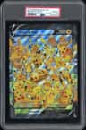 Pikachu V-Union