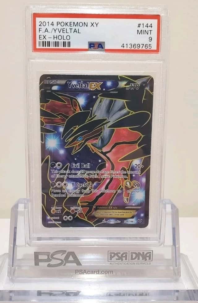 Yveltal EX