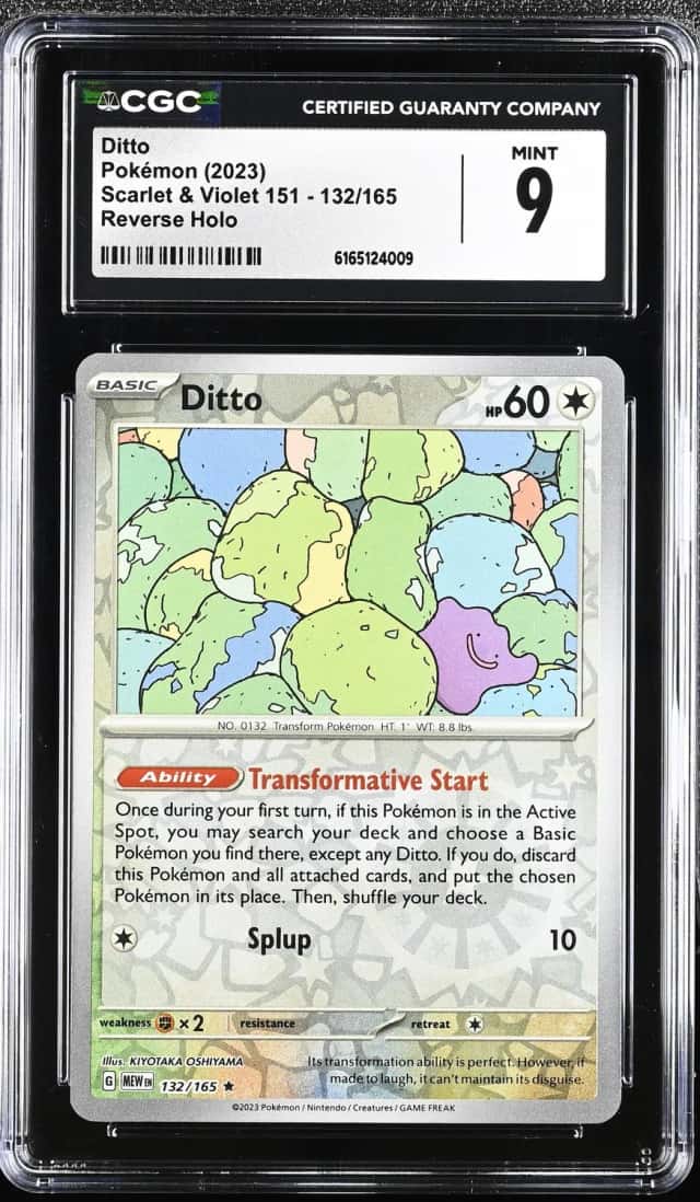 Ditto