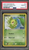Chikorita