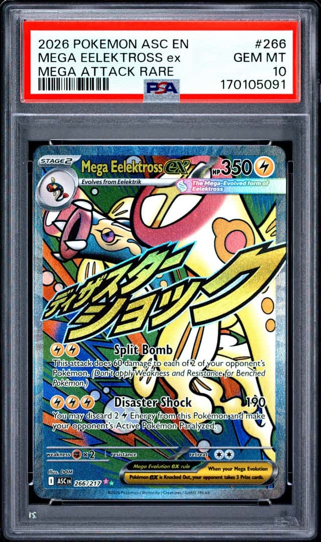 MEGA EELEKTROSS ex