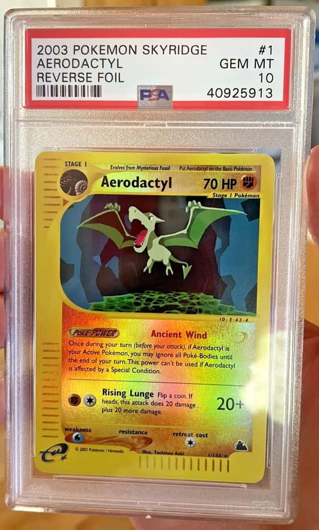 Aerodactyl