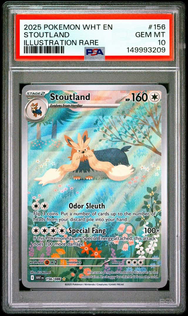 Stoutland