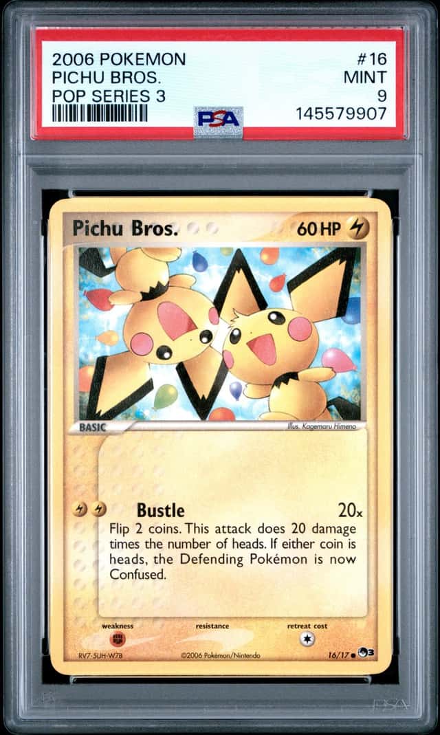Pichu Bros