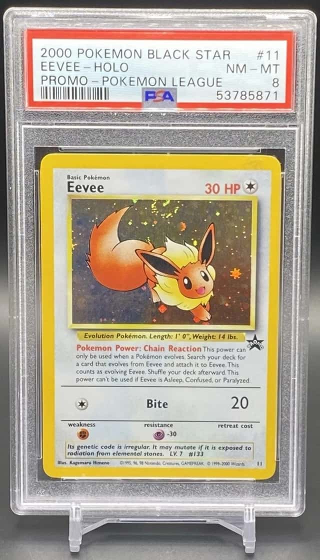 Eevee