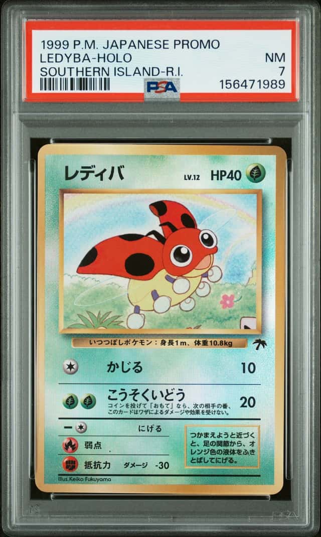 Ledyba
