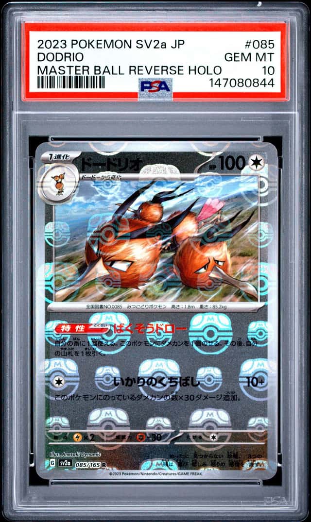Dodrio