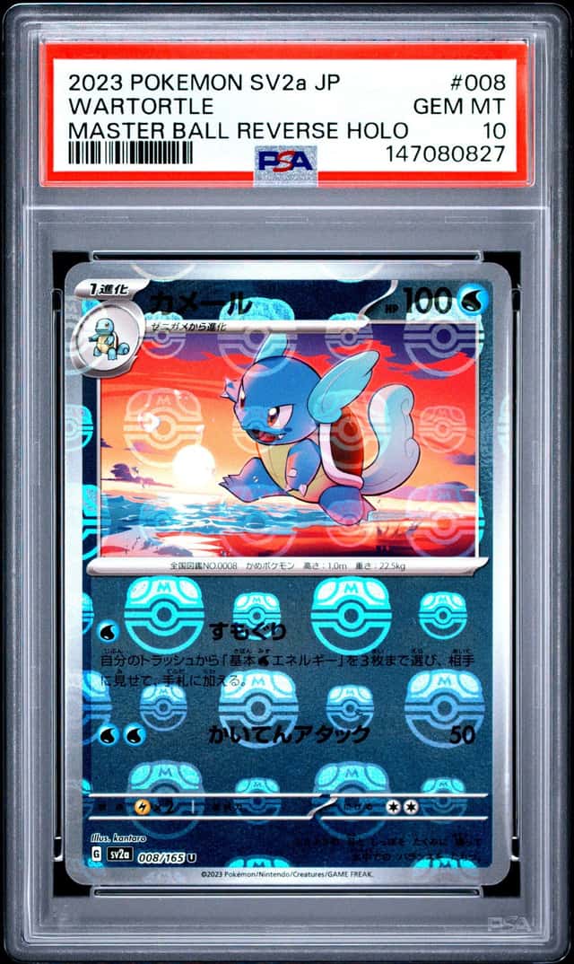 Wartortle