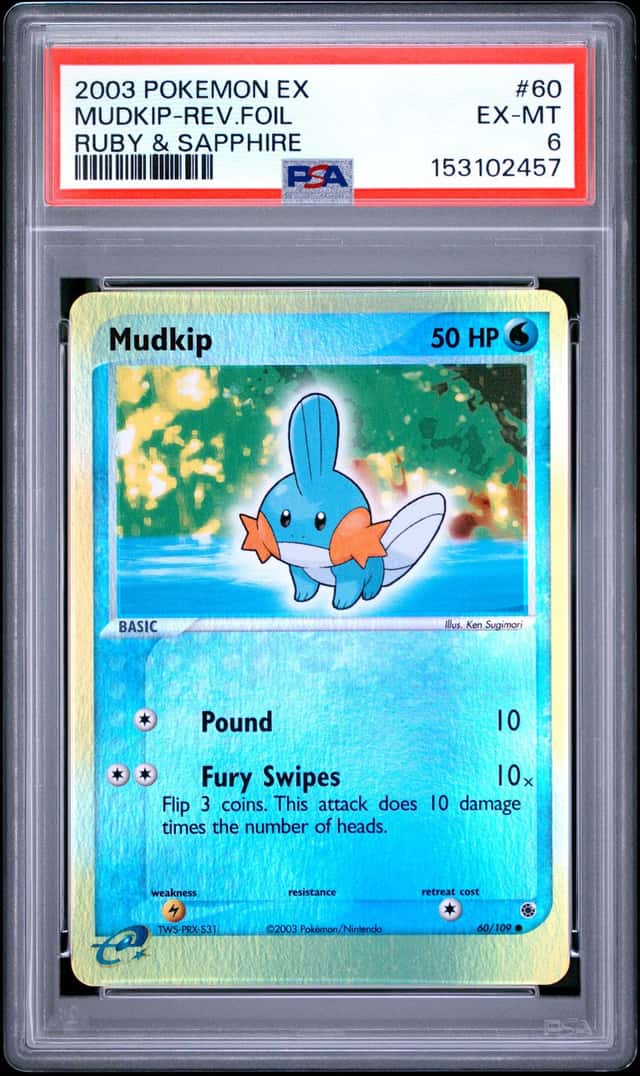 Mudkip