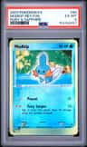 Mudkip