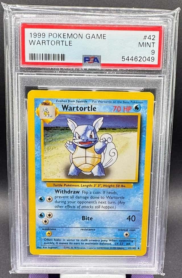 Wartortle