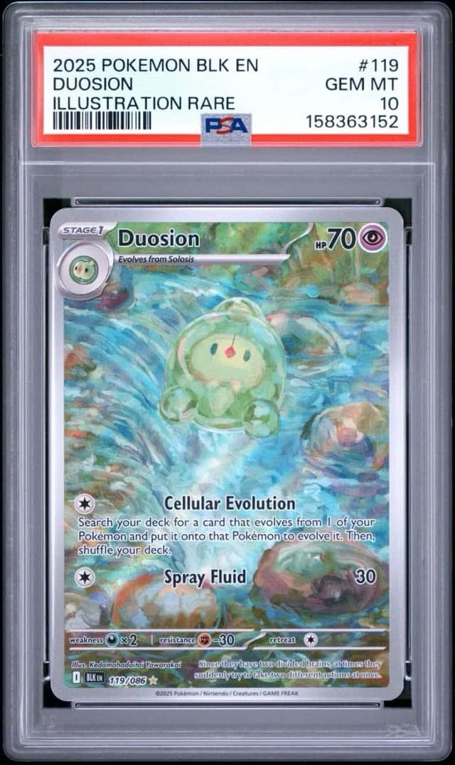 Duosion
