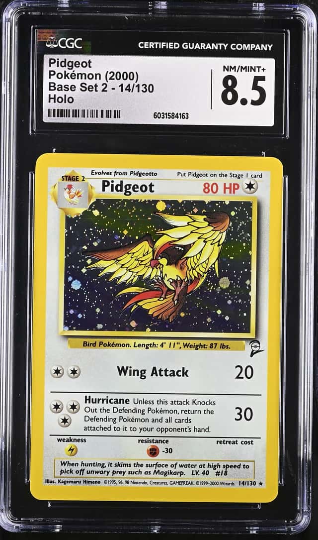 Pidgeot