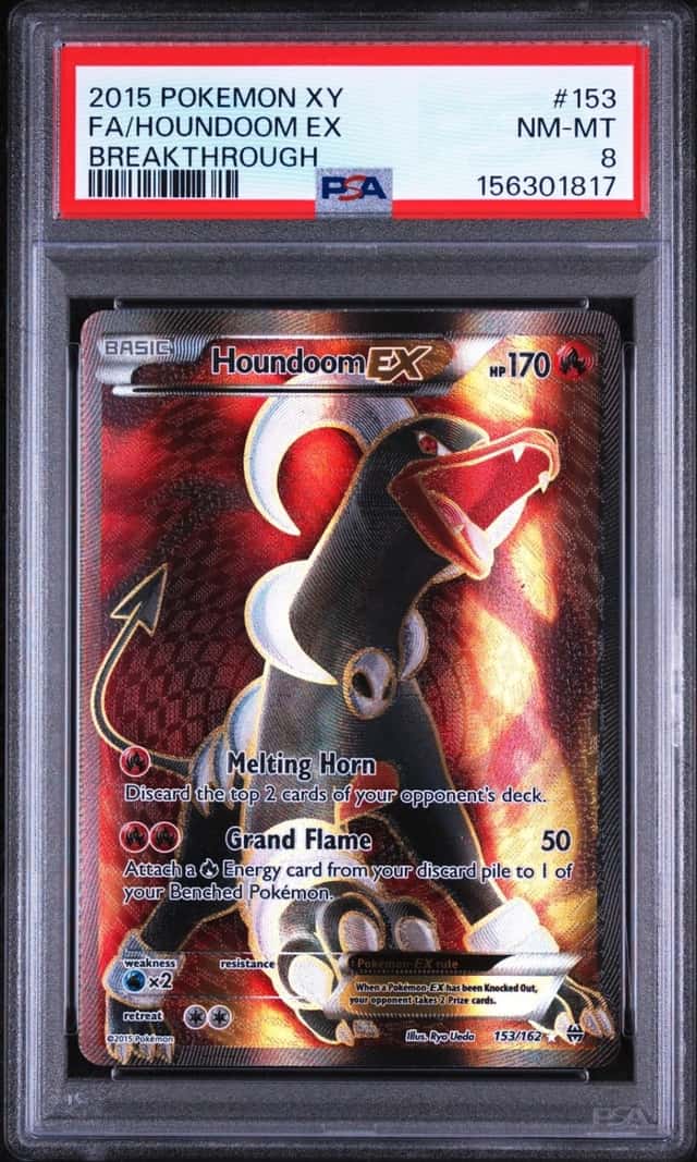 Houndoom EX
