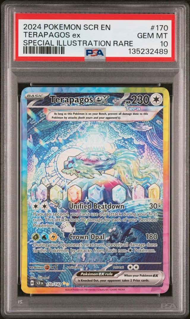 TERAPAGOS ex