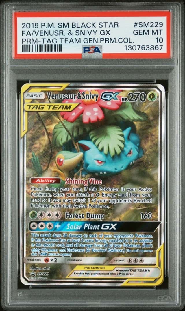Venusaur & Snivy GX