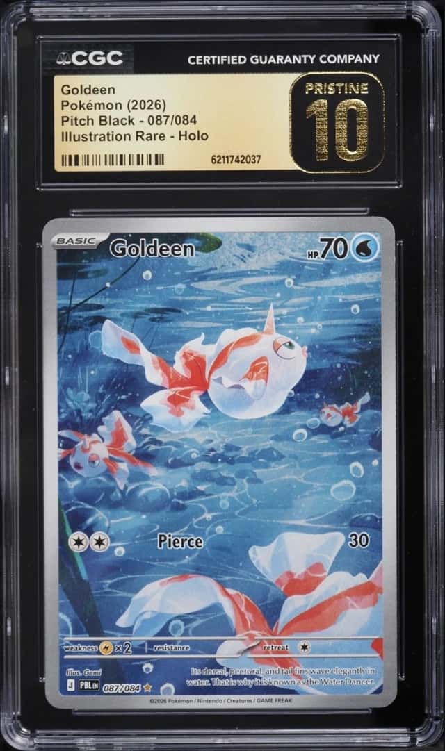 Goldeen