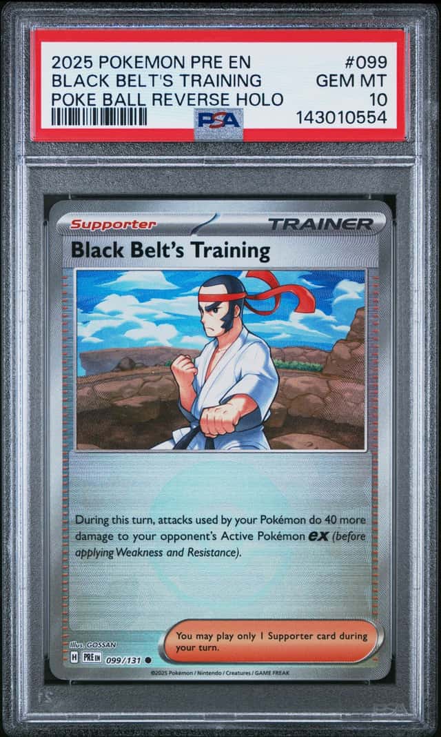 BLACK BELT'S TRAINING