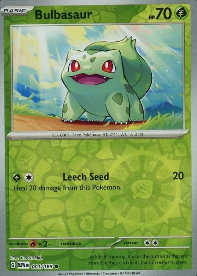 Holo · Mini Pack 5