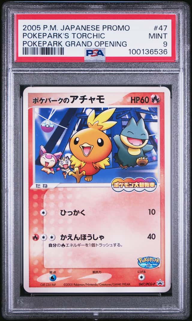 Pokepark's Torchic
