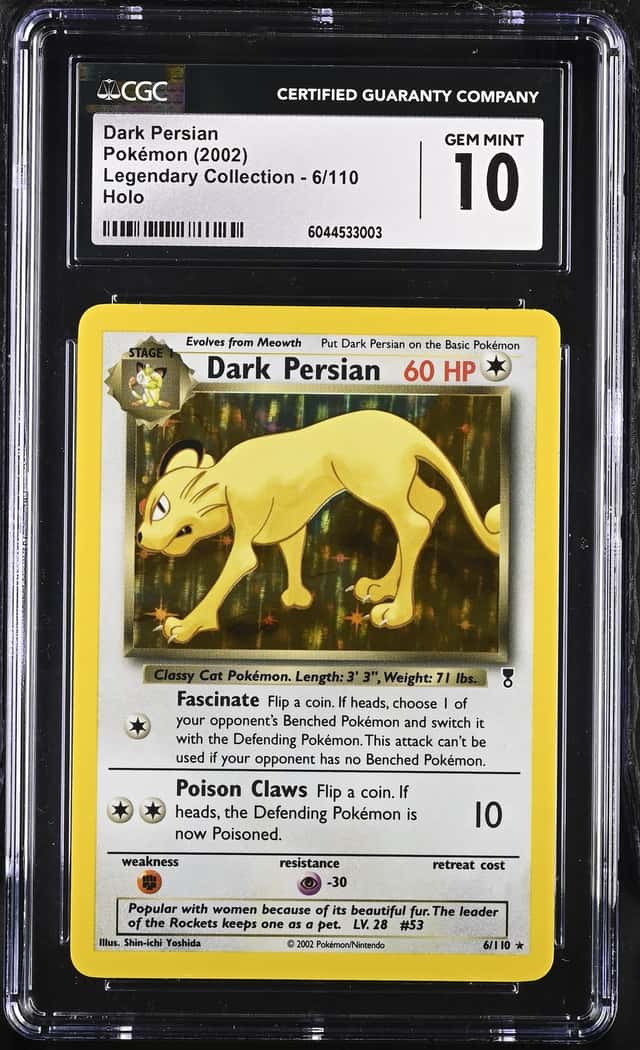 Dark Persian
