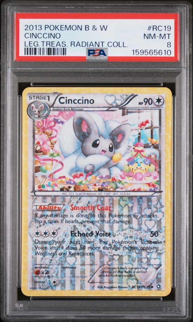 Cinccino
