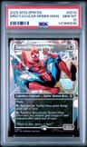 Spectacular Spider-Man