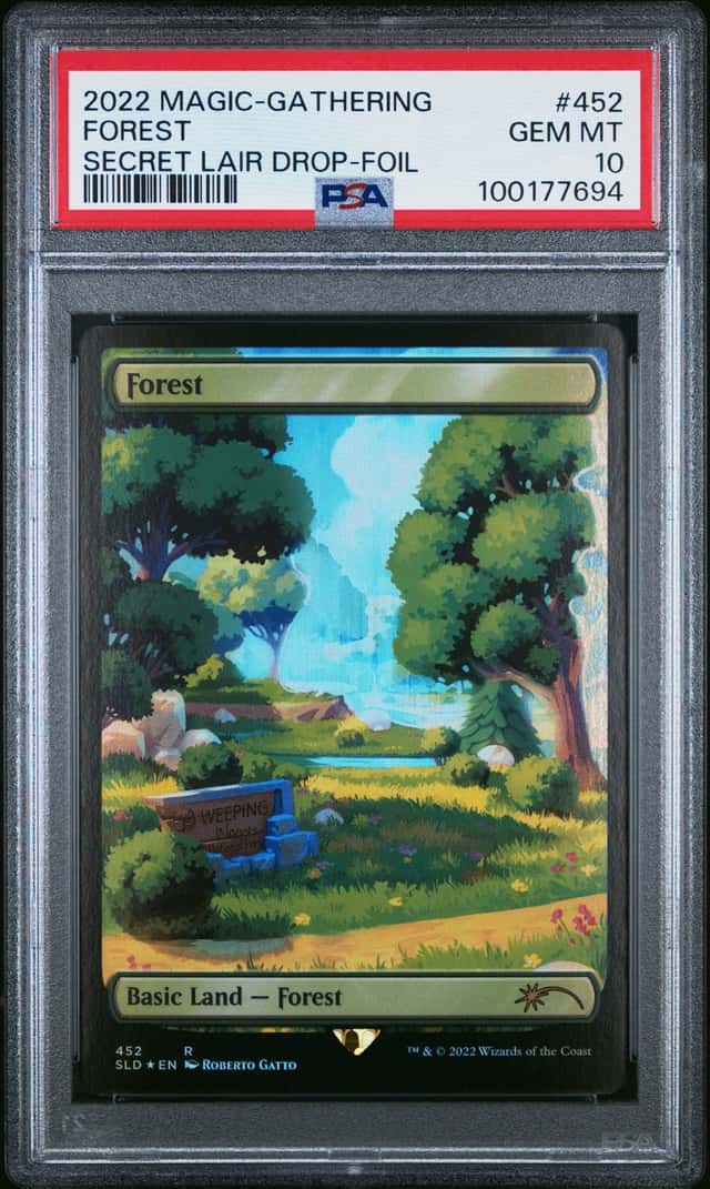 Forest