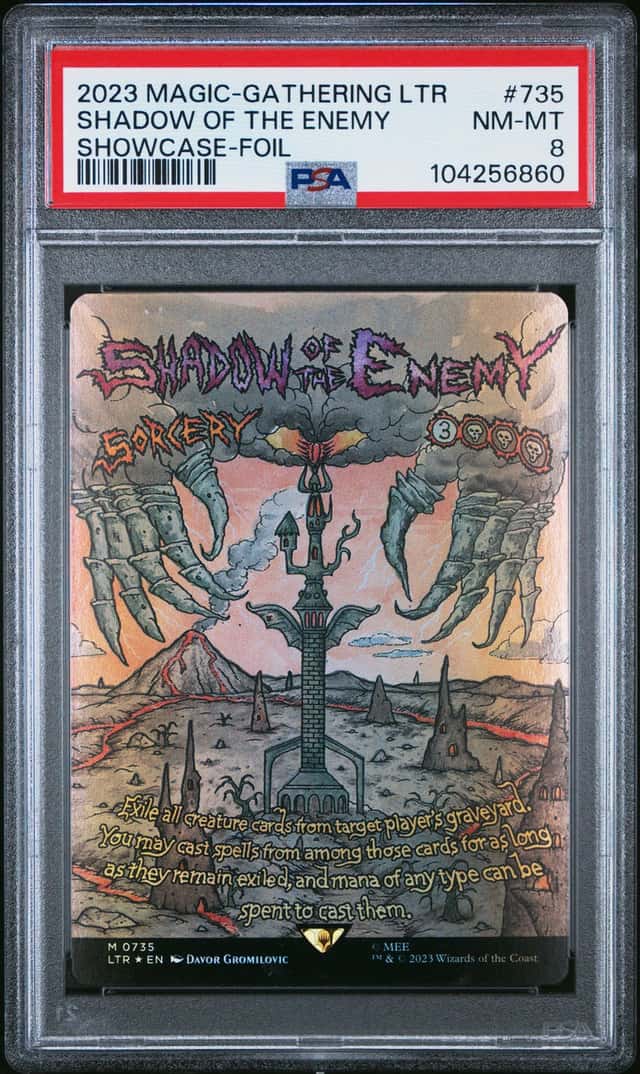 Shadow Of The Enemy