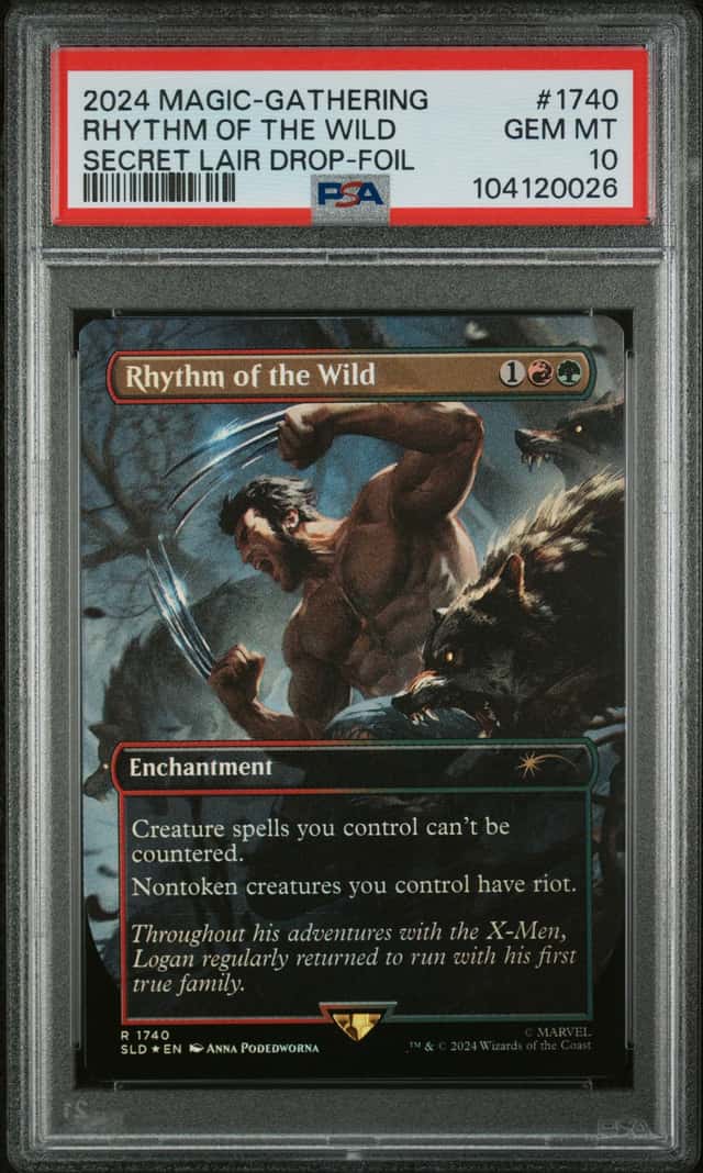 RHYTHM OF THE WILD