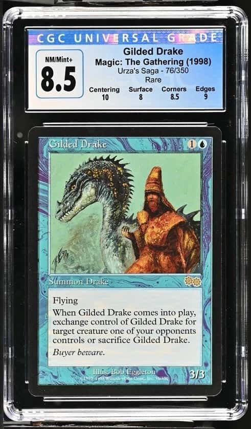 Gilded Drake
