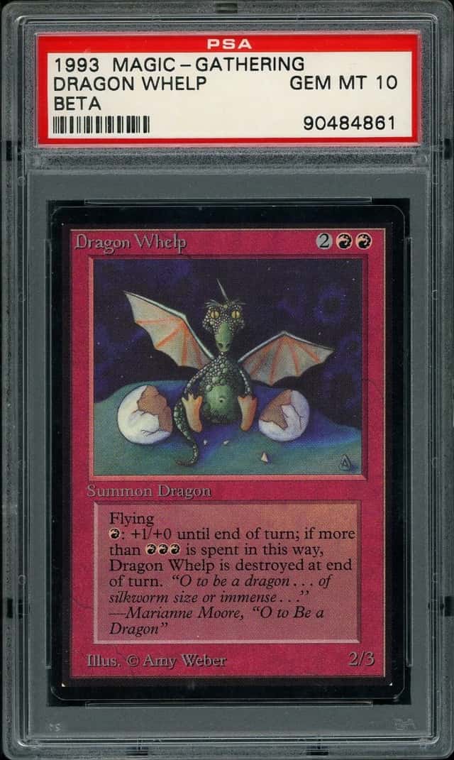 Dragon Whelp