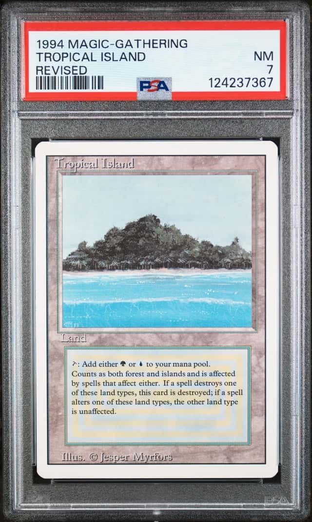 Tropical Island