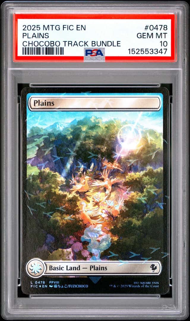 Plains