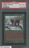 Grizzly Bears