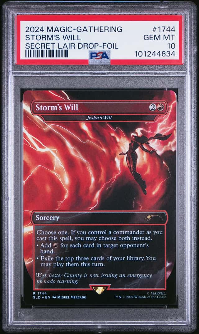 Storm's Will