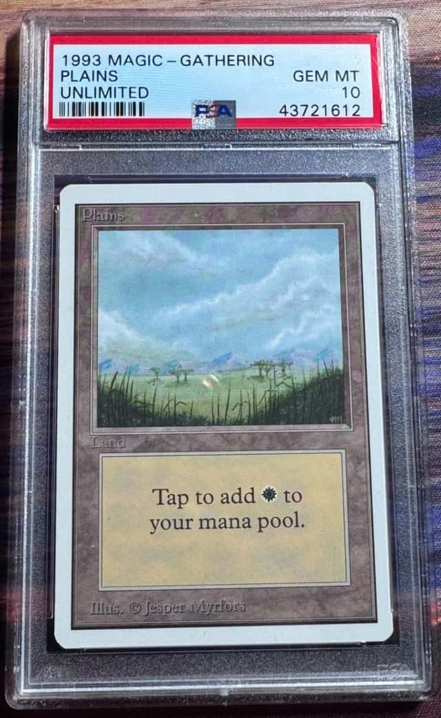 Plains