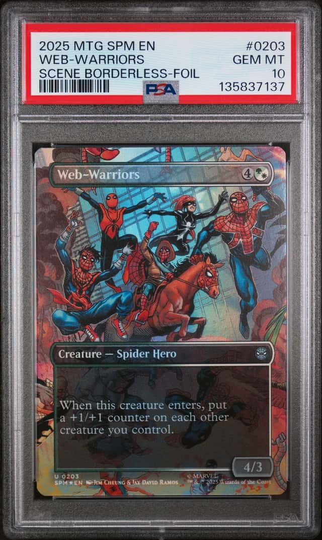 Web-Warriors