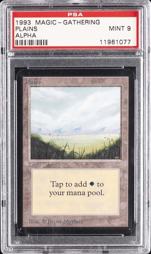 Plains