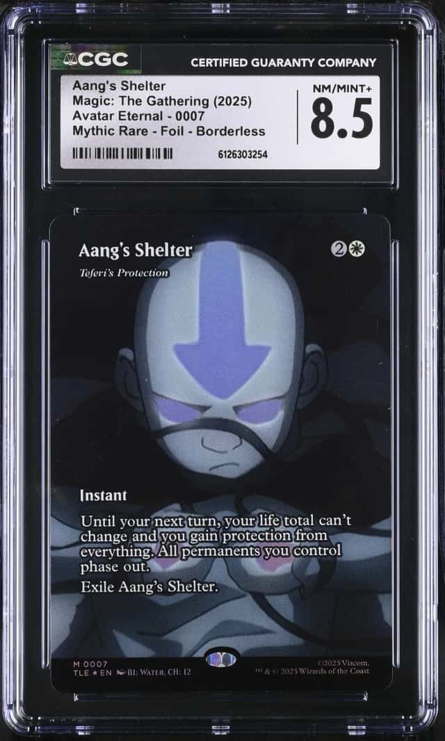 Aang's Shelter