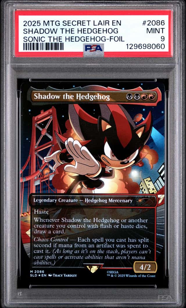 Shadow The Hedgehog