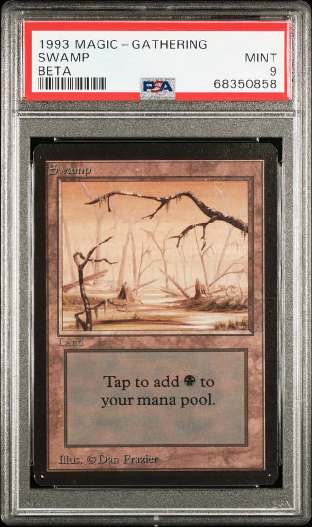 Swamp