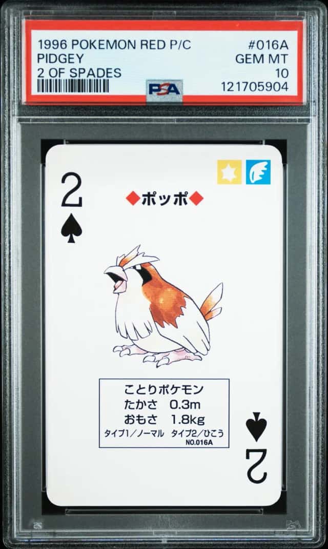 Pidgey