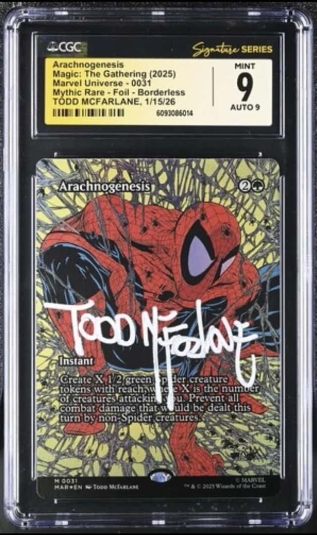 Arachnogenesis