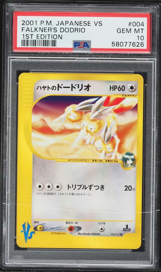 Falkner's Dodrio