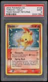 Torchic