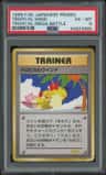 Tropical Wind