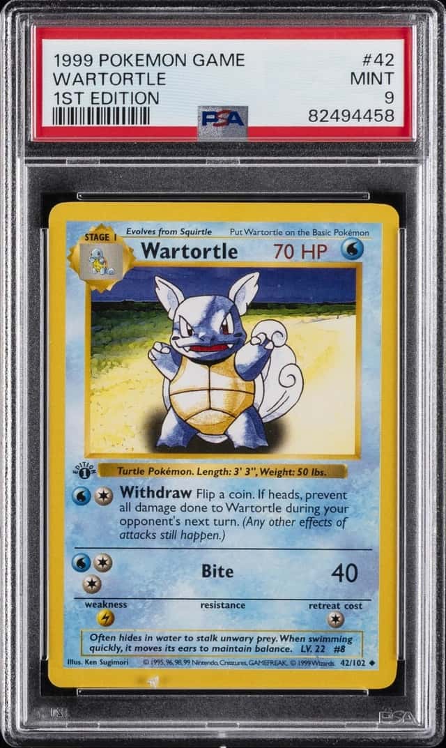 Wartortle