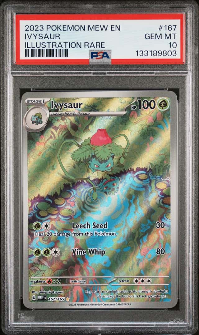 2023 Pokemon SV 151 Ivysaur Illustration Rare #167/165 PSA 10 GEM MINT